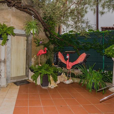 Apartamento Naomi Zadar Exterior foto